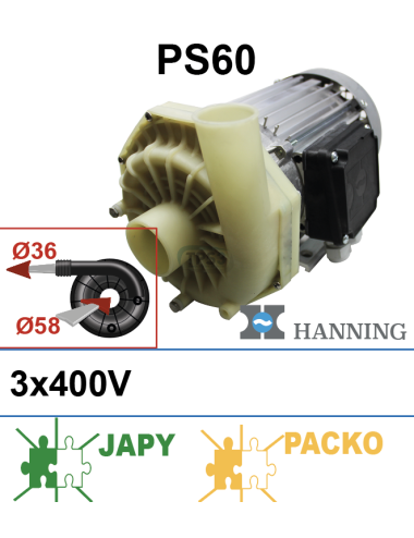 Pompe de lavage Hanning PS60 3x400V