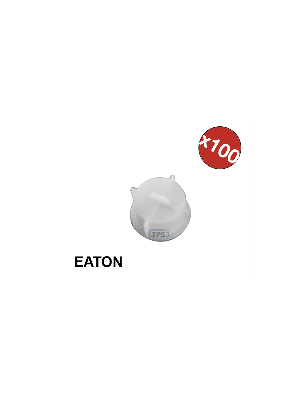 Sachet 100 filtres pour électrovannes Eaton