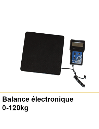 Balance électronique 0-120Kg