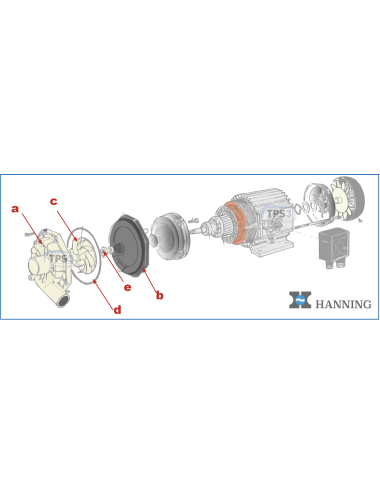 Pompe de lavage Hanning PS15 3x400V