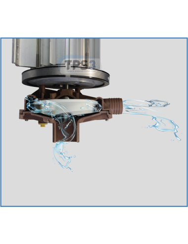 Volute pour pompe TPS 50-37