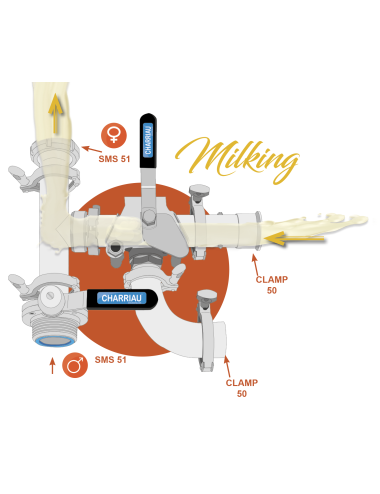 Entrée de lait par le bas version vanne 3 voies