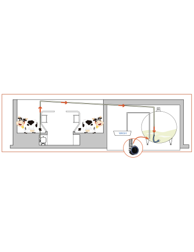 Entrée de lait par le bas version clamp SMS51/40