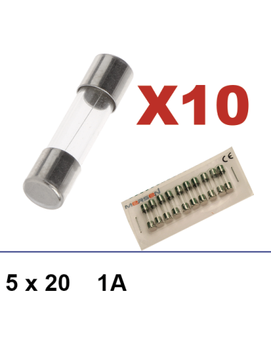 Box of 10 fuses 5x20 1A