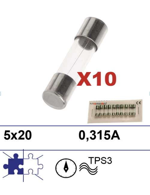 Boite 10 fusibles 5x20 0,315A
